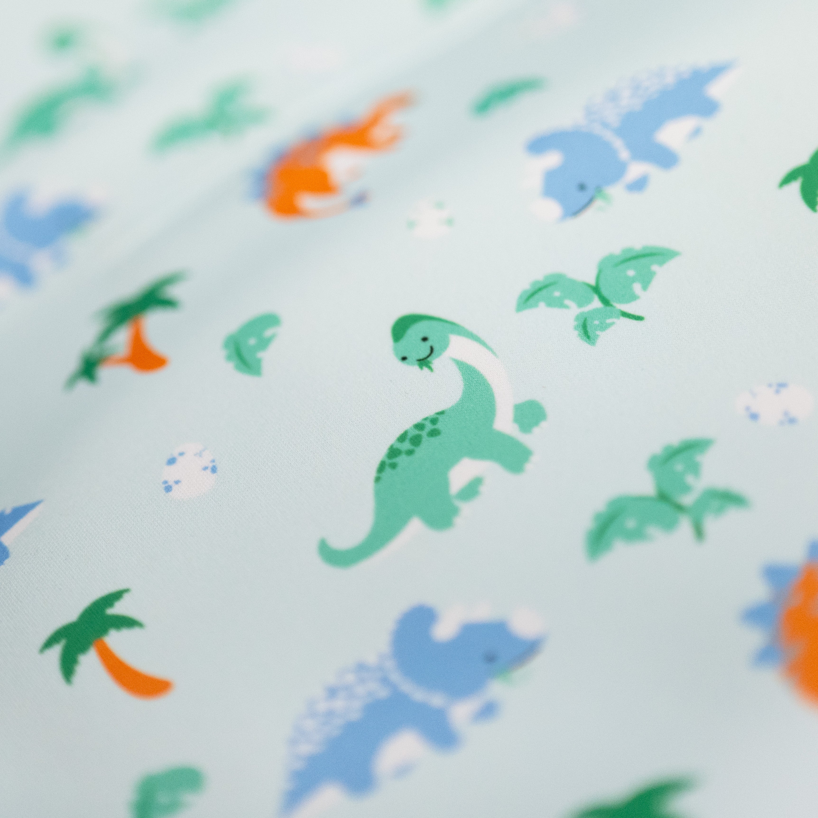 Baby Wrap™ Wetsuit Dippy Dinos