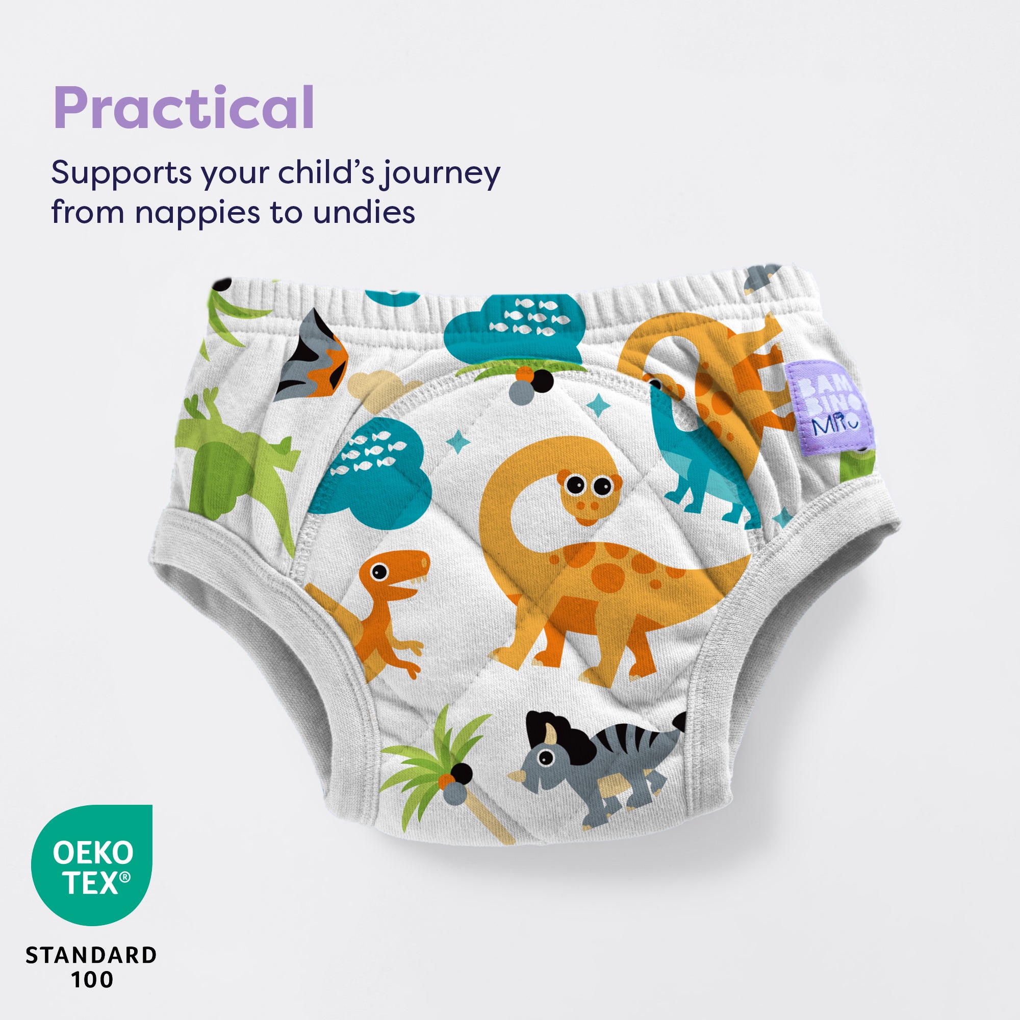 Reusable Potty Training Pants Enhanced - Dino