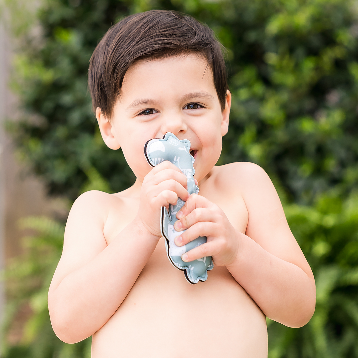 Snippets Pool Toys Seahorses Pack of 3