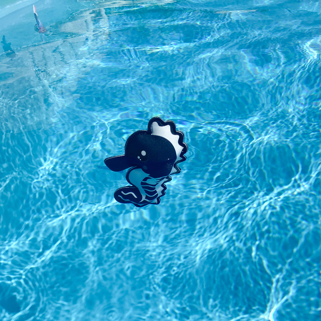 Snippets Pool Toys Sardines and Seahorse Pack of 2