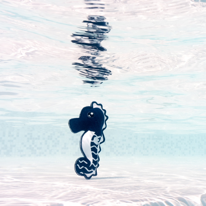 Snippets Pool Toys Seahorses Pack of 3